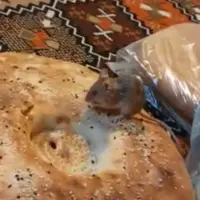 گرفتار شدن موش در نانوایی رومانیایی