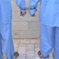 سارقان بلوار دهه فجر و خیابان امام دستگیر شدند