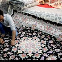 نمایشگاه تخصصی فرش دستباف و ملزومات جهیزیه در زنجان آغاز به کار کرد