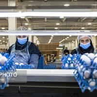 کاهش هزینههای تولید با اجرای طرح «طاها» در استان زنجان