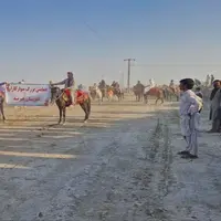 نخستین همایش سوارکاری در شهرستان هیرمند؛ گامی برای احیای فرهنگ منطقه سیستان