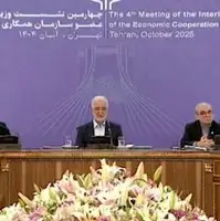 پیشنهاد وزیر کشور برای لغو روادید در حوزه اکو؛ صدور «اکو ویزا» در دستور کار قرار گیرد