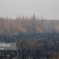 هویزه به شدت تحت‌تاثیر دود آتش‌سوزی هورالعظیم قرار دارد
