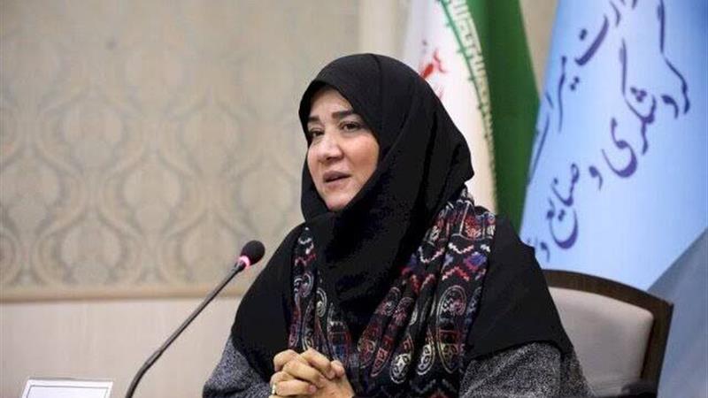 جشنواره همام نشان میدهد نواقص جسمی، مانعی برای تجلی خلاقیت در هنر ایرانی نیست