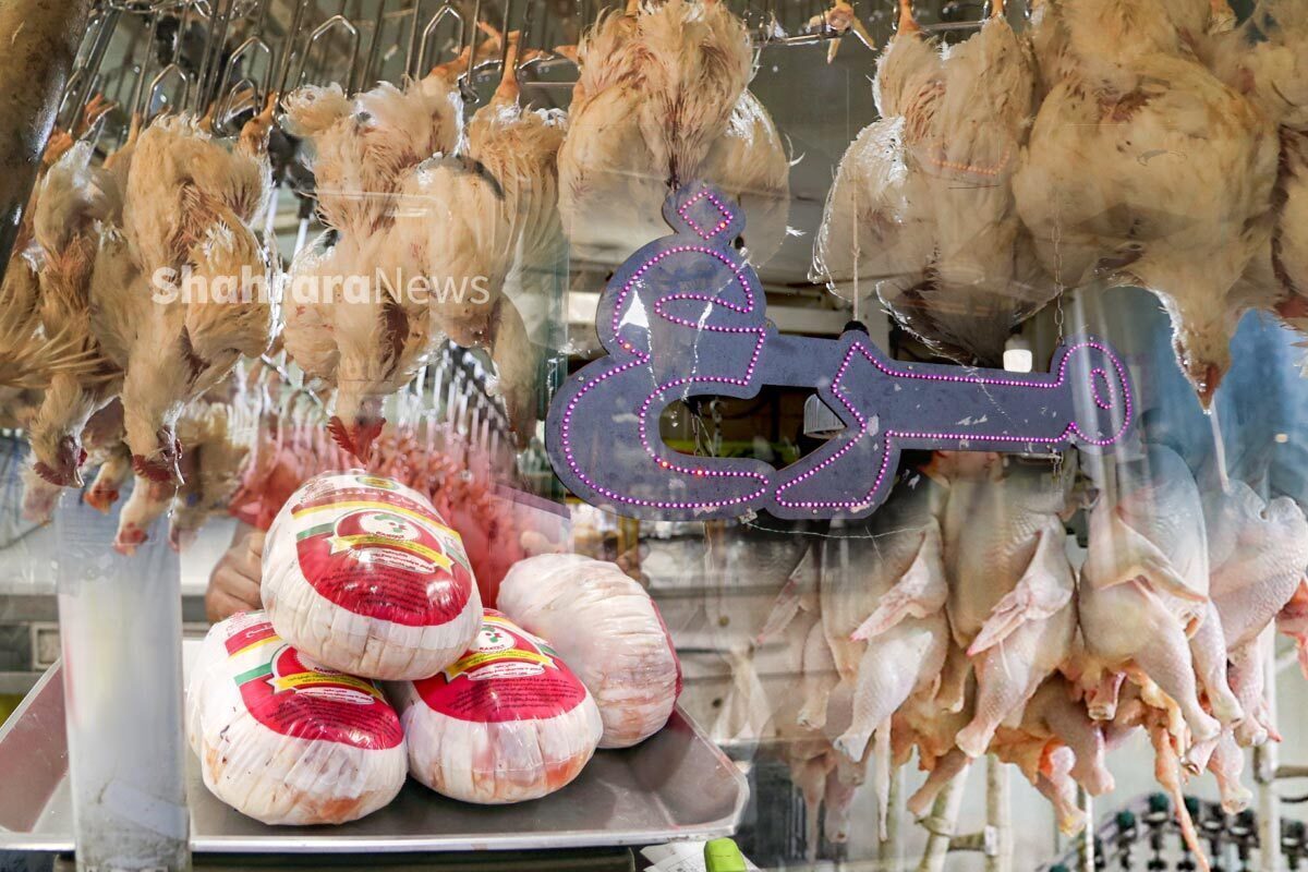 قیمت مرغ در مشهد افزایش یافت؛ گوشت گوسفندی و گوساله چند؟