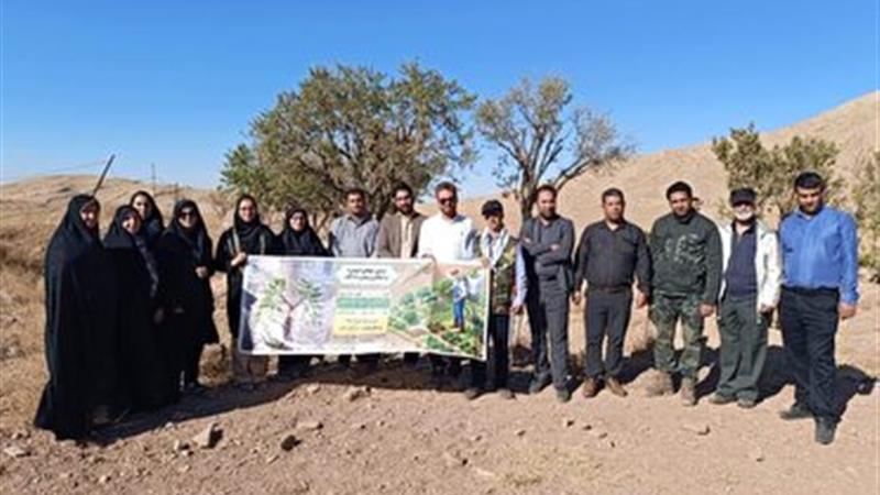 پویش مردمی مبارزه با آفت لورانتوس در بادامستان‌های دیم
