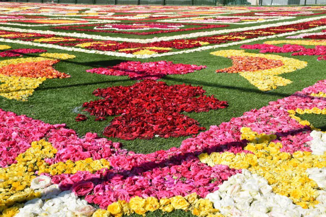 بزرگترین فرش گل خاورمیانه در محلات