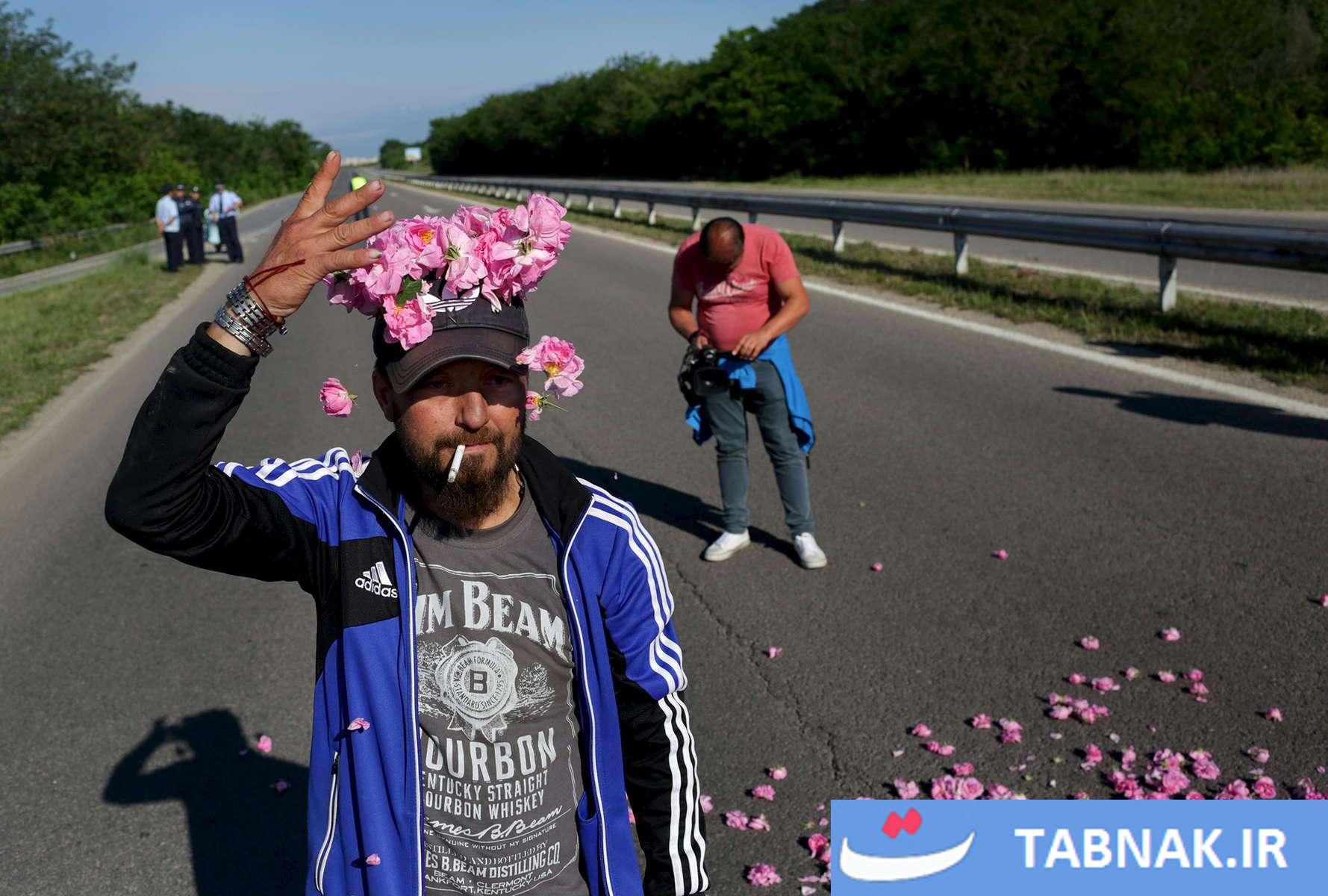 طلای مایع در دامنه بالکان