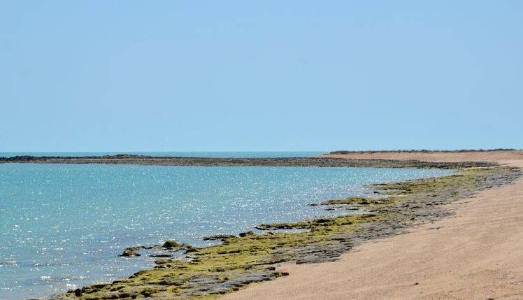 خارگو جزیره گردشگری شد