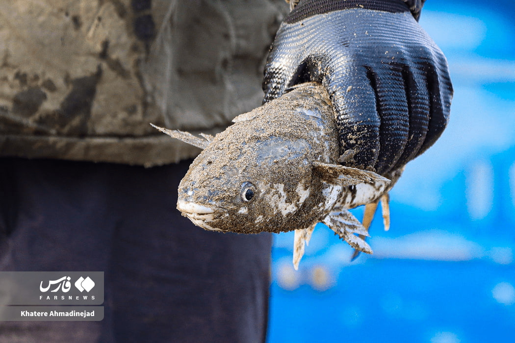 آغاز فصل صید در کاسپین