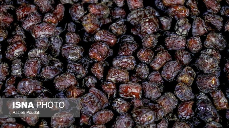 برداشت ۳۵۰ هزار تن خرما در سیستان و بلوچستان
