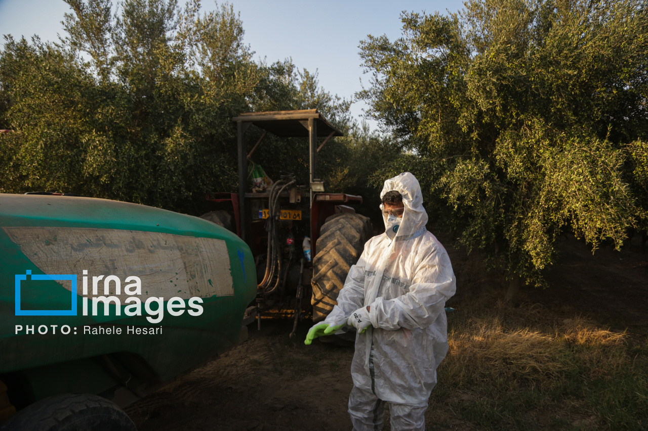 روزی در خاک و دریا