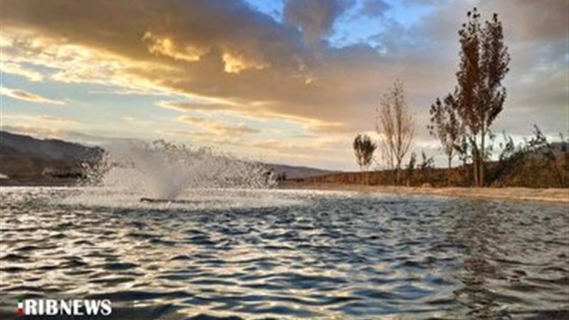 مزارع پرورش ماهی به روایت تصویر