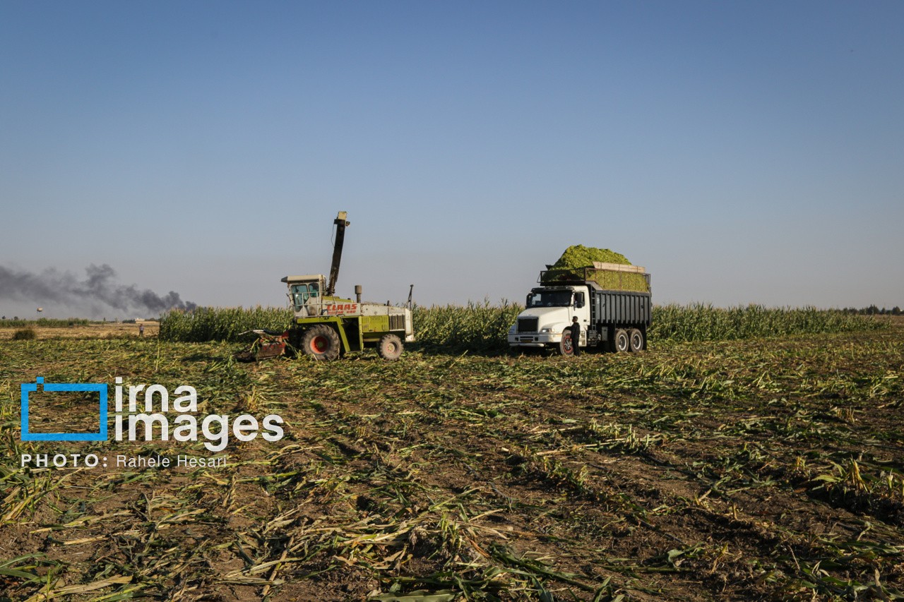 روزی در خاک و دریا