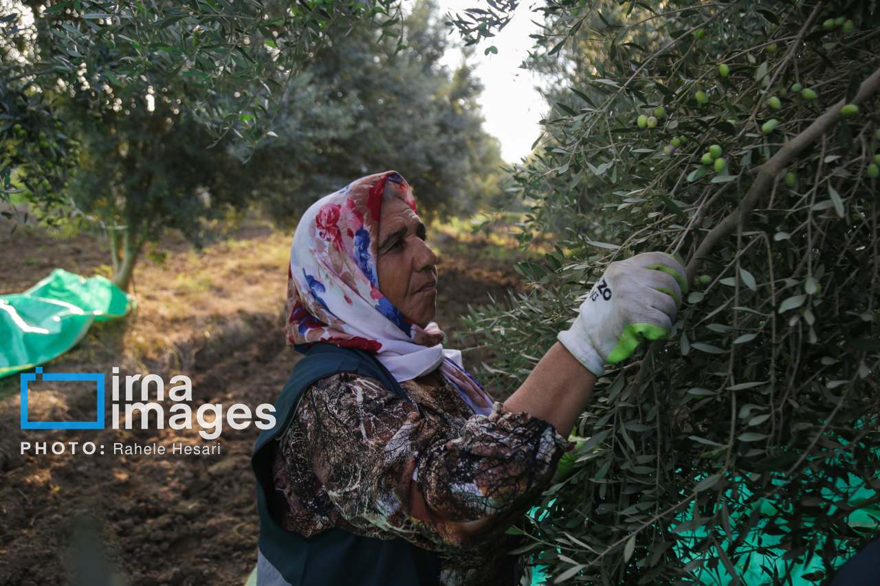 روزی در خاک و دریا