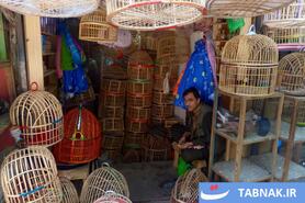 بازار پرندگان کابل؛ سنتهای کهن در دل زندگی مدرن