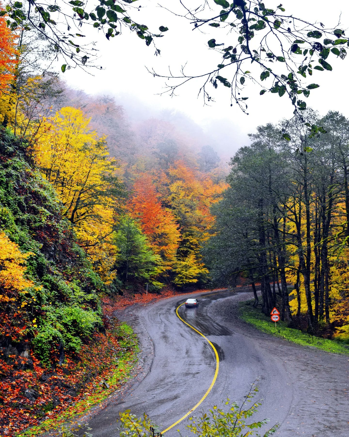 سمفونی رنگ‌ها در دل مازندران