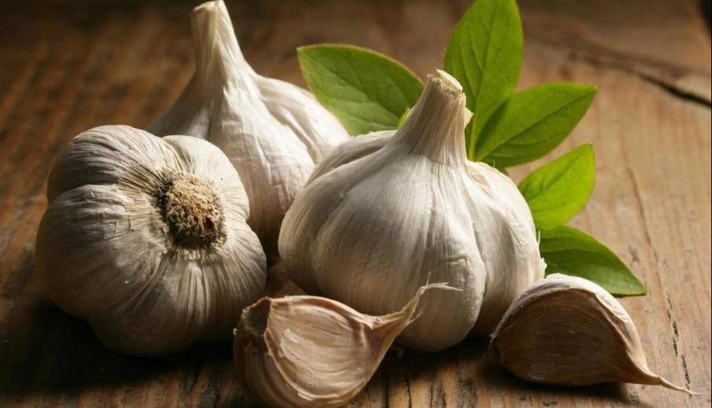 خطرناکترین روش نگهداری سیر که میتواند مرگبار باشد!