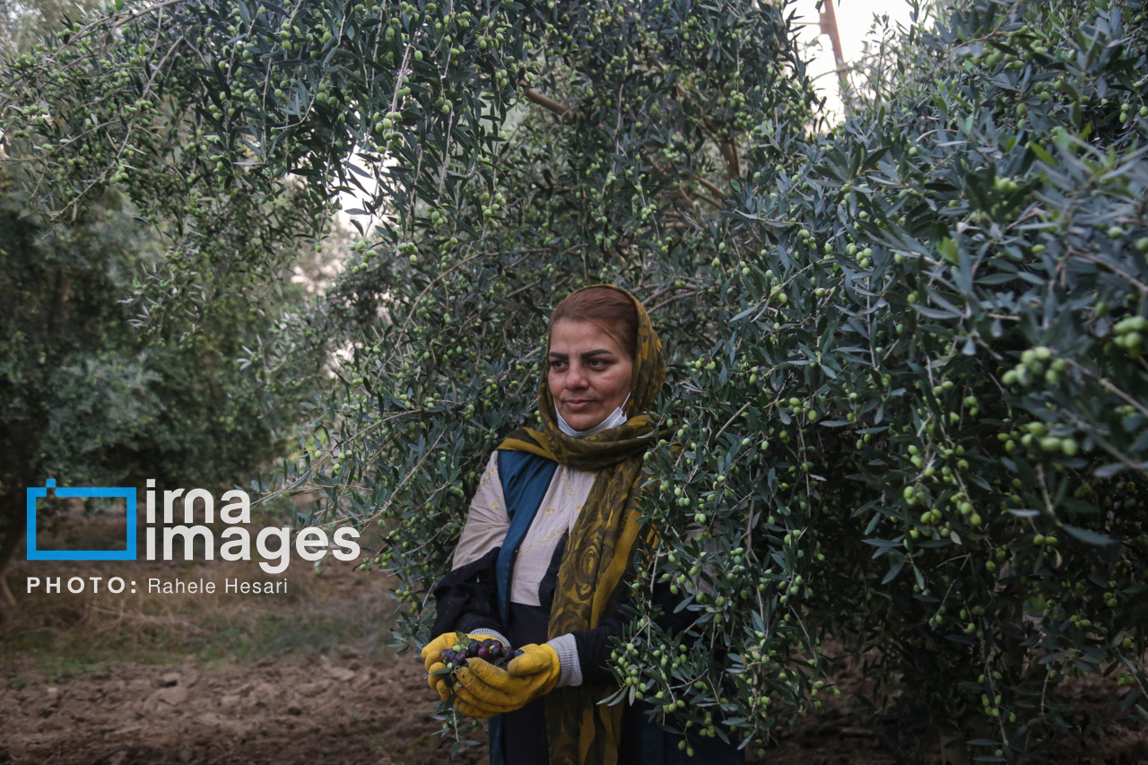 روزی در خاک و دریا