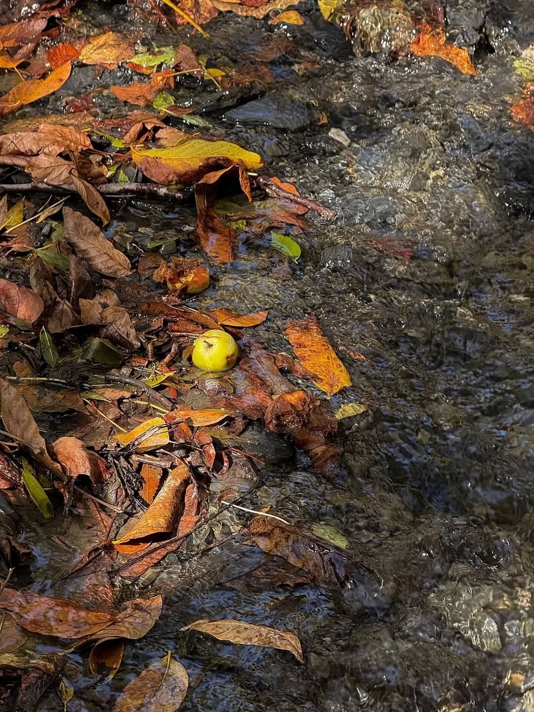 طبیعت زیبای ییلاقات طرقبه مشهد 