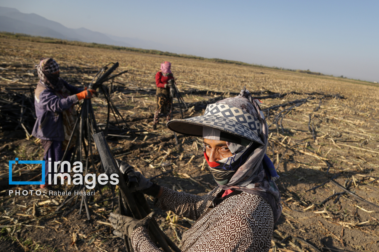 روزی در خاک و دریا