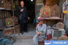 بازار پرندگان کابل؛ سنتهای کهن در دل زندگی مدرن