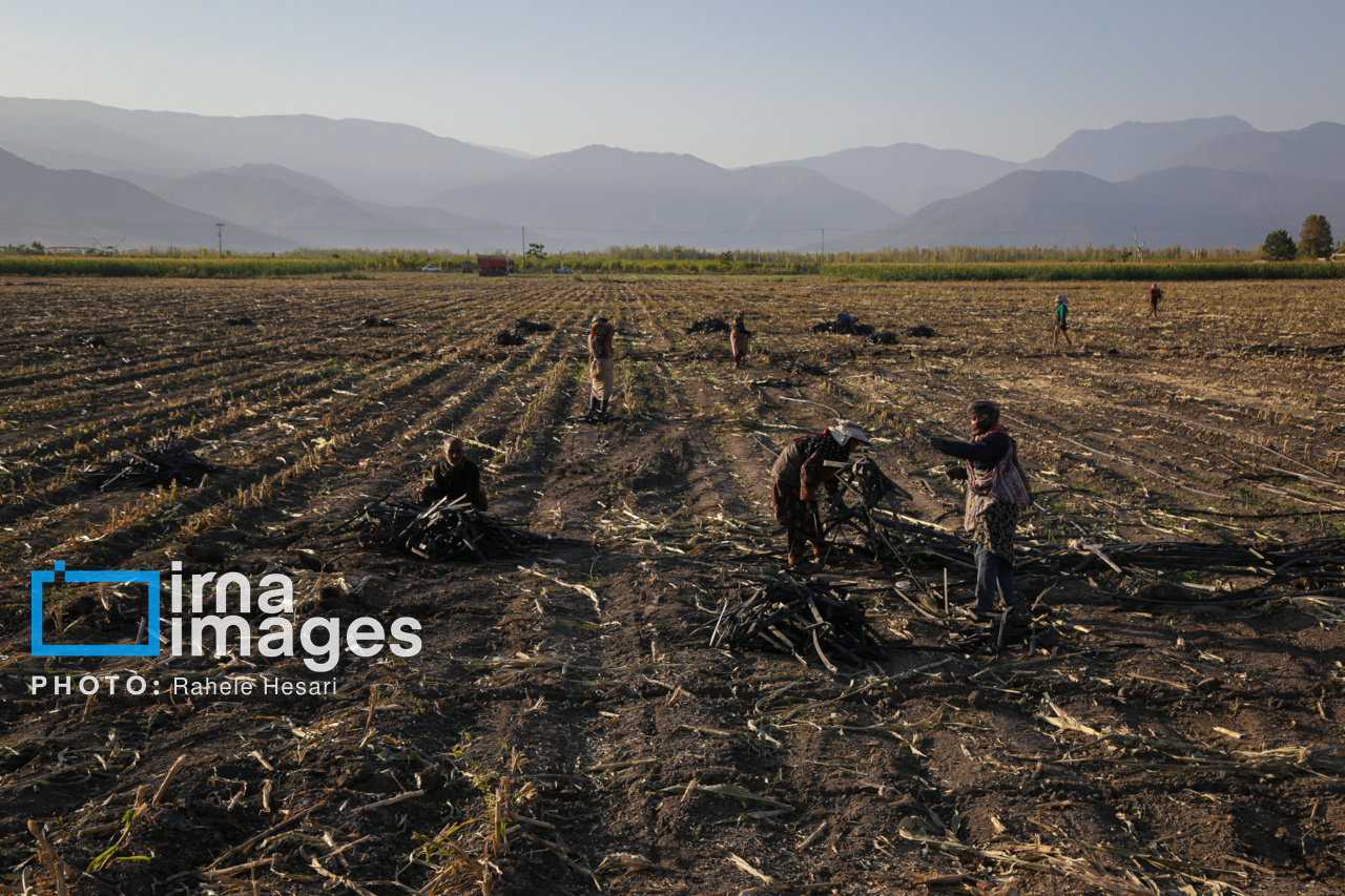 روزی در خاک و دریا