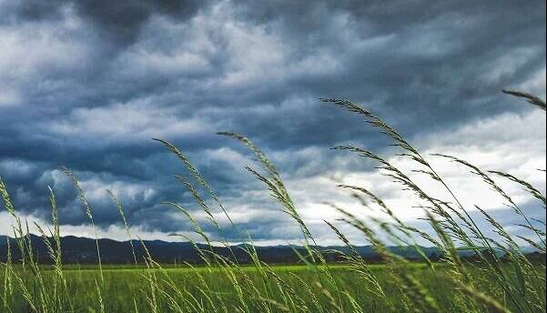 وزش باد شدید، بارش باران و احتمال سیلاب