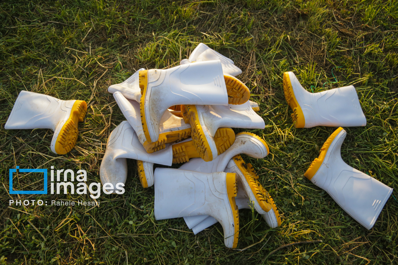 روزی در خاک و دریا