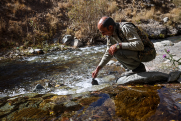 حفاظت بیوقفه