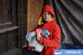 بازار پرندگان کابل؛ سنتهای کهن در دل زندگی مدرن