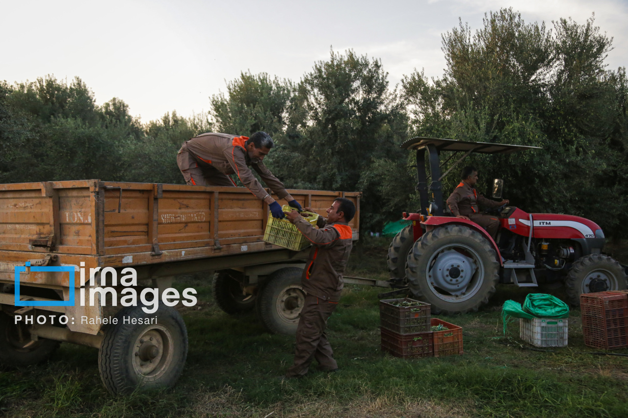 روزی در خاک و دریا