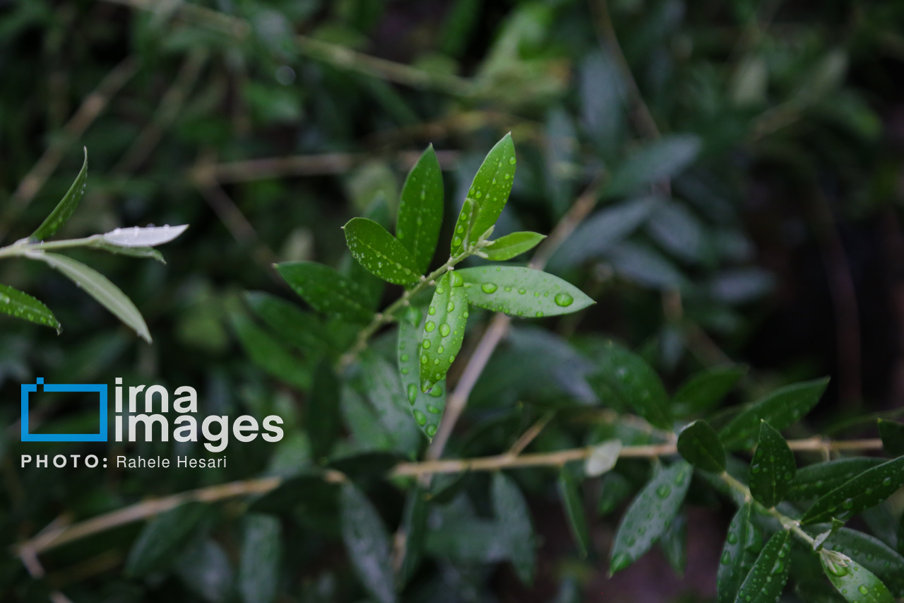 روزی در خاک و دریا