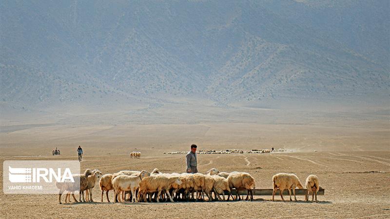 عشایر خراسان شمالی و روزگار تلخ خشکسالی