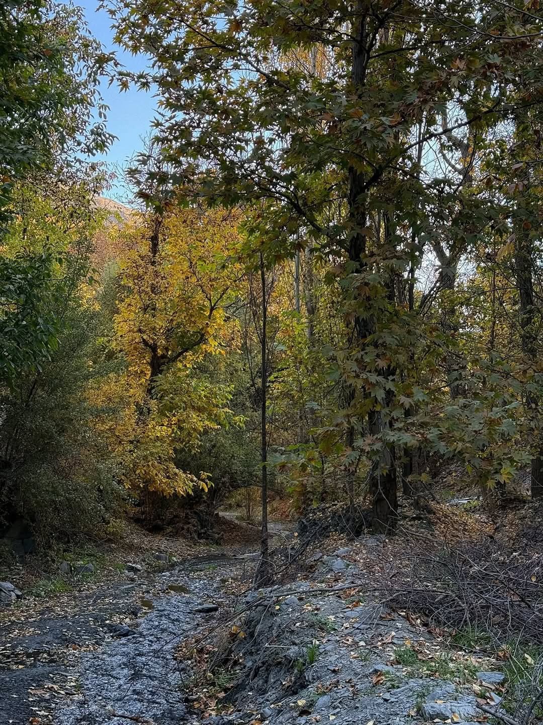 طبیعت زیبای ییلاقات طرقبه مشهد 