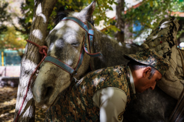 حفاظت بیوقفه