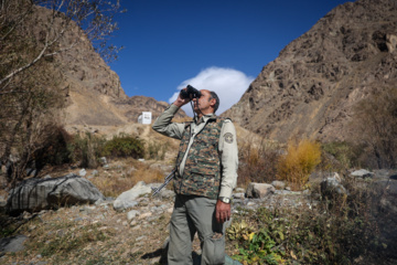 حفاظت بیوقفه