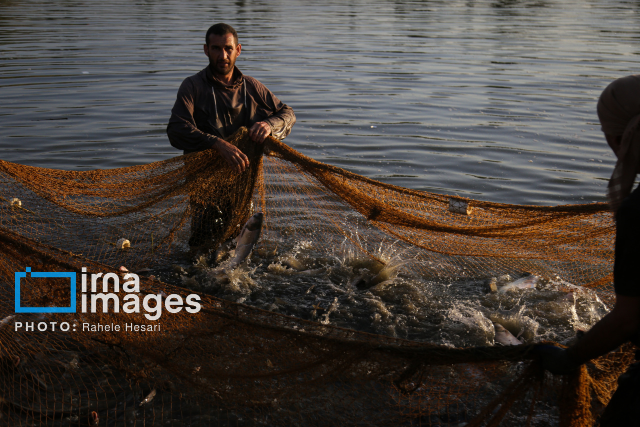 روزی در خاک و دریا