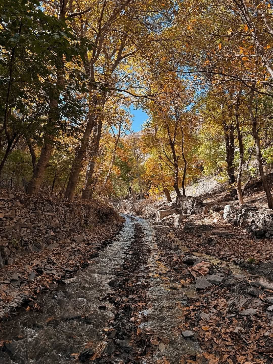 طبیعت زیبای ییلاقات طرقبه مشهد 