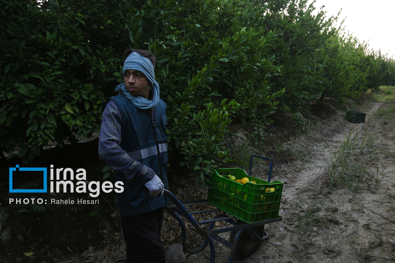 روزی در خاک و دریا