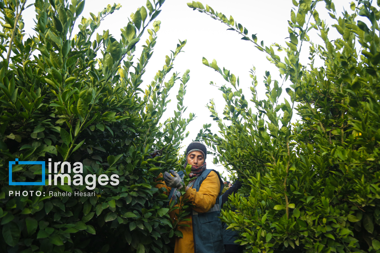 روزی در خاک و دریا