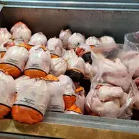 کشف بیش از ۳۰۰ کیلوگرم مرغ منجمد تاریخ منقضی در بویراحمد