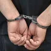 دستگیری 3 سارق حرفهای احشام در گچساران