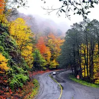 سمفونی رنگ‌ها در دل مازندران