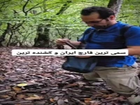 سمیترین و کشندهترین قارچ جنگلهای هیرکانی