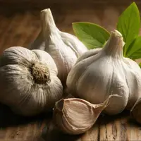 خطرناک‌ترین روش نگهداری سیر که می‌تواند مرگبار باشد!