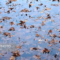 وضعیت دما و بارش تا فروردین ۱۴۰۵