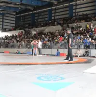 دفاع رئیس هیأت از عمکرد کشتیگیران اصفهانی در المپیاد استعدادهای برتر