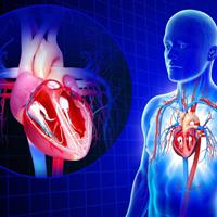 کمبود فوق تخصص عروق چالش حوزه سلامت است