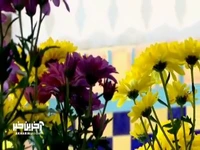 هر که حسینی بود فطرت او زینبی است